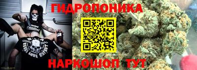 крисы Заводоуковск