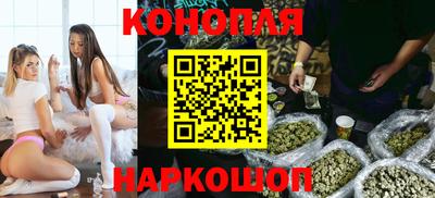 крисы Заводоуковск