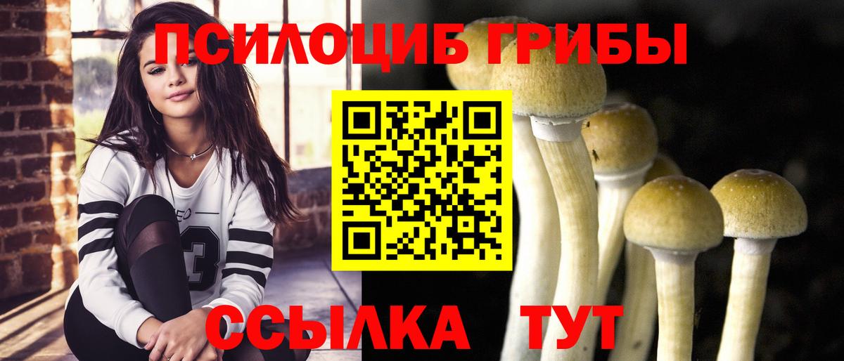 Галлюциногенные грибы прущие грибы  Вход с VPN  Зеленокумск 